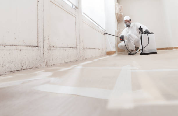 Trusted Mold Testing service in Pipersville, PA - WQB Mold Removal