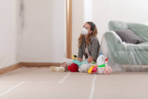 Reliable Mold Testing contractor in Pipersville, PA by WQB Mold Removal